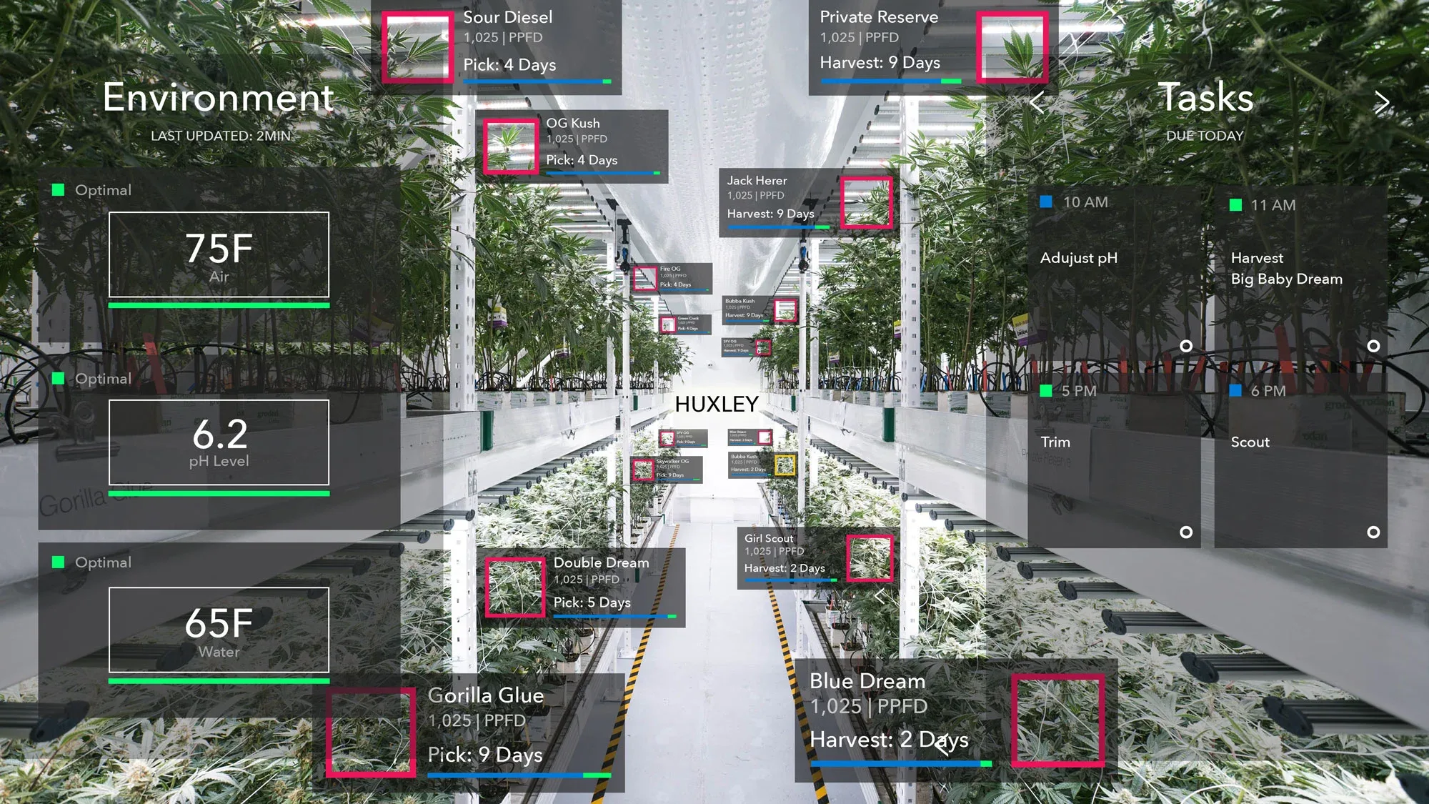 Augmented reality grower interface overlaid on a greenhouse aisle