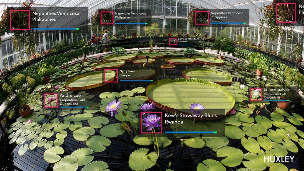 Augmented labels identifying water lilies and plants in a botanical greenhouse
